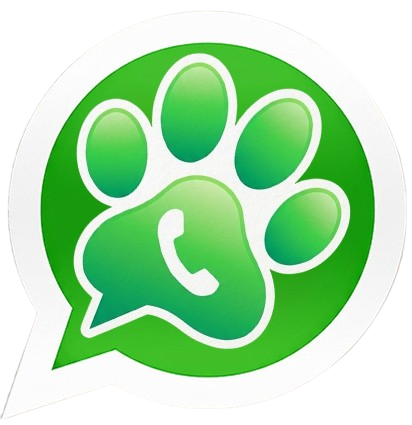 Whatsapp Destek